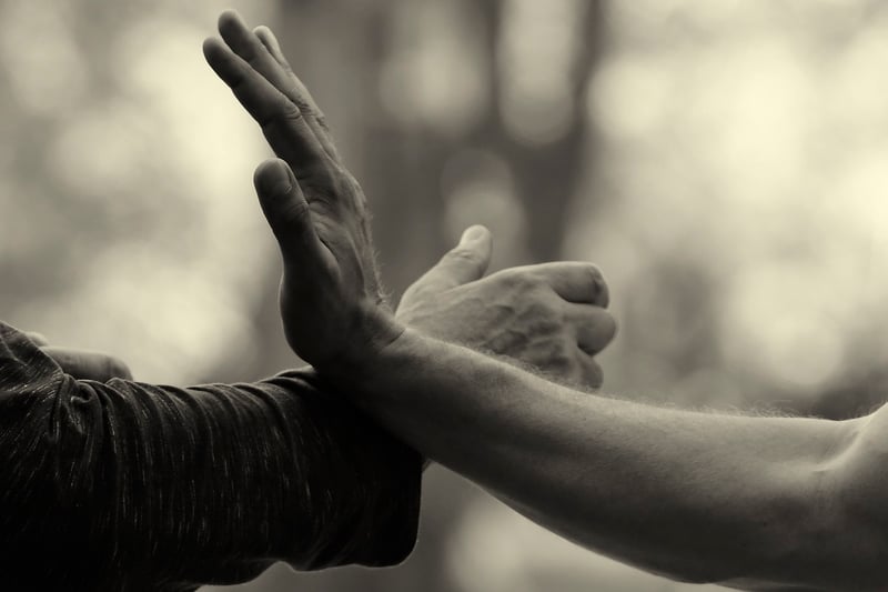 Tai Chi Techniques
