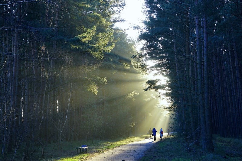 Mindful Walking
